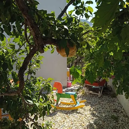 Marilia's Nest *